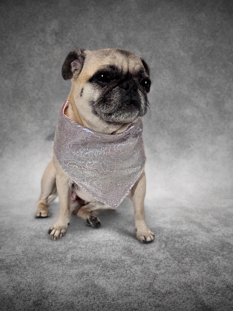 Moonlit Rose Bandana