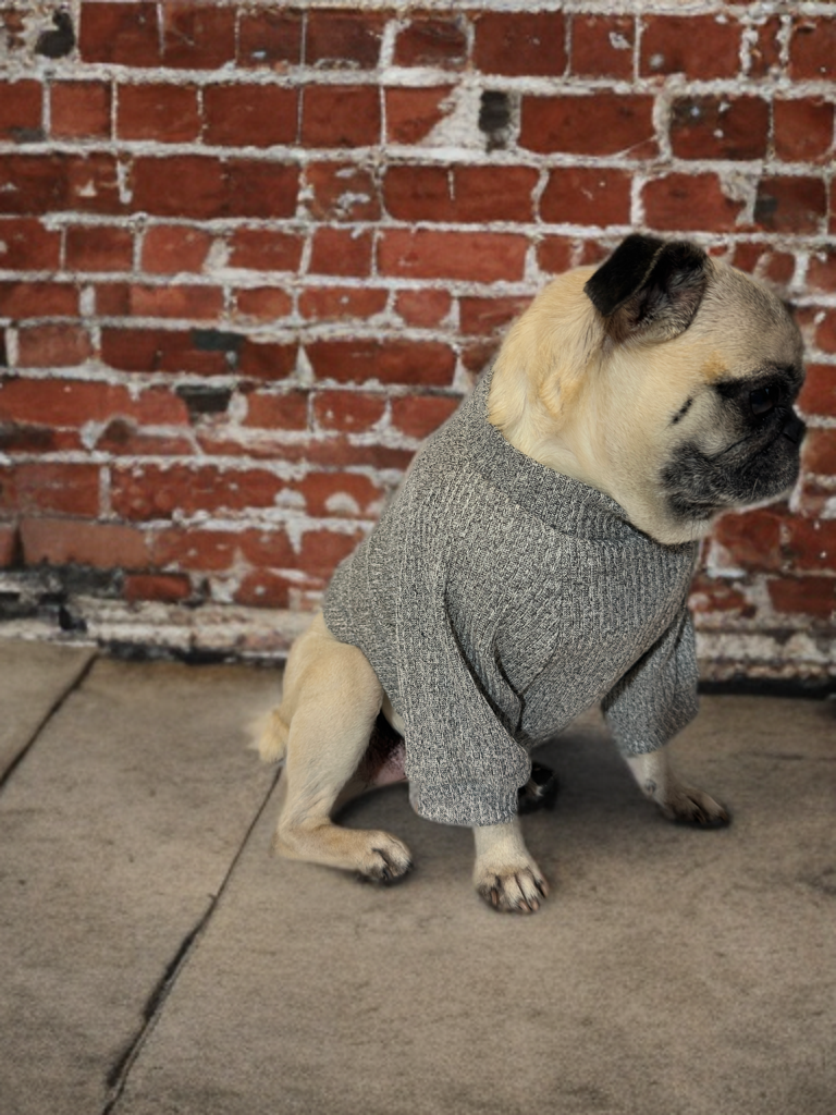 Stone Cozy (Grey)