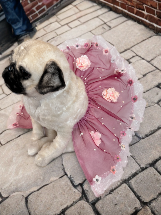 Blush Tutu