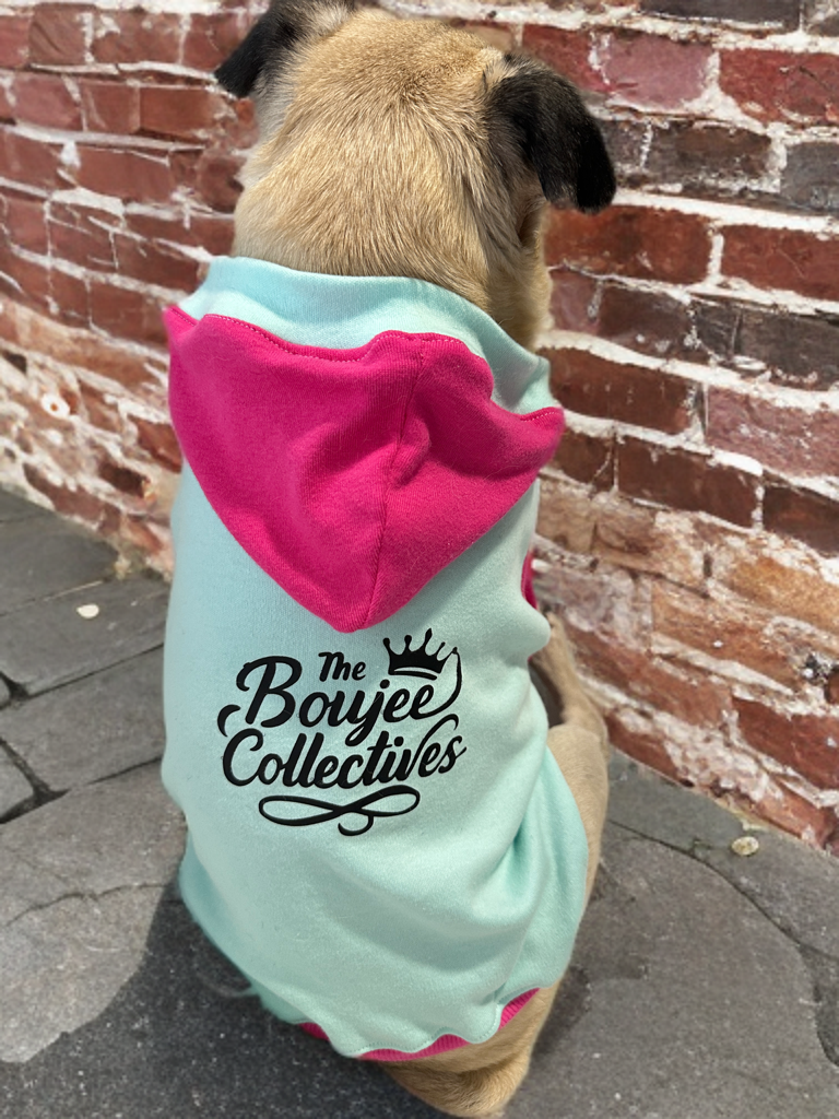 The Boujee Collectives 🎀 Pink Voltage Boujee Hoodie