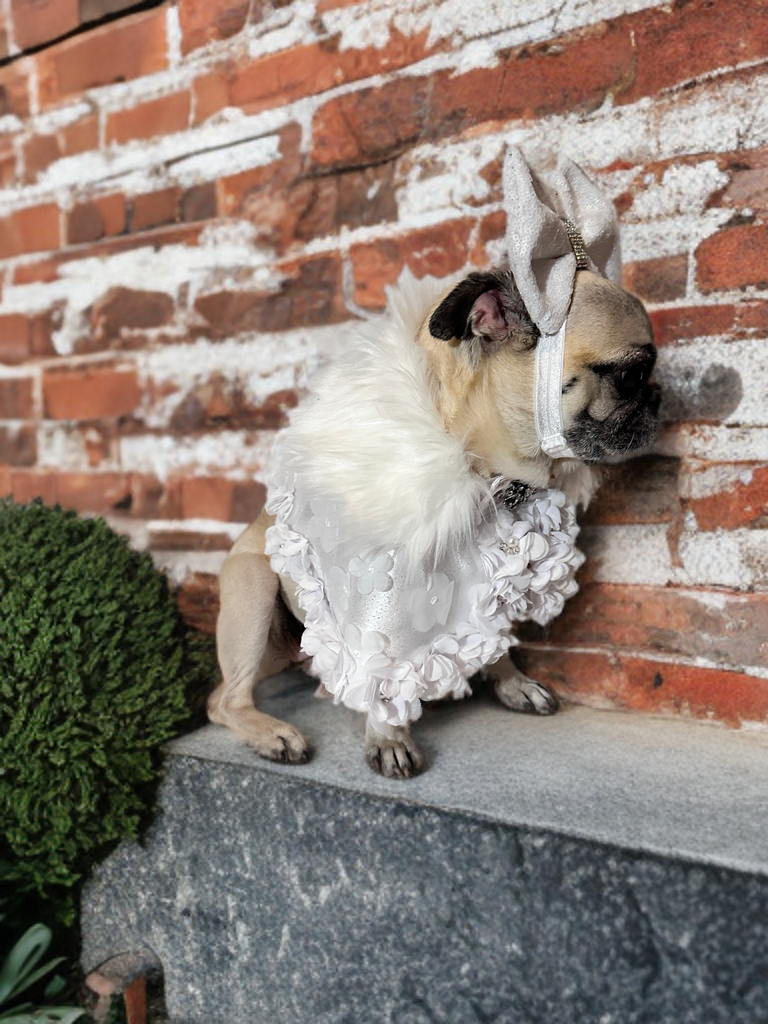 Snow Petal Cape