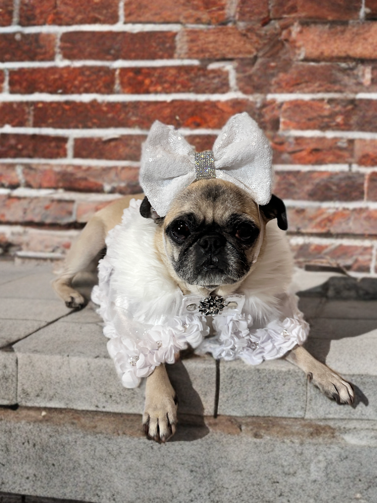 Snow Petal Cape