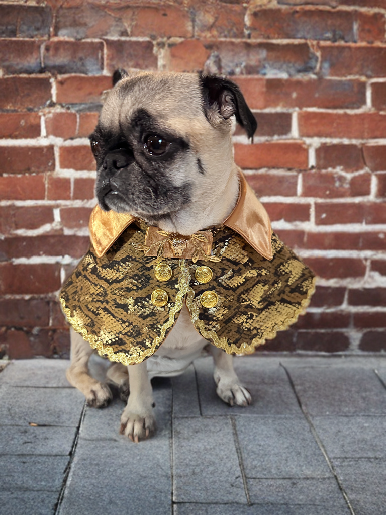 Golden Safari Chic (non-reversible)