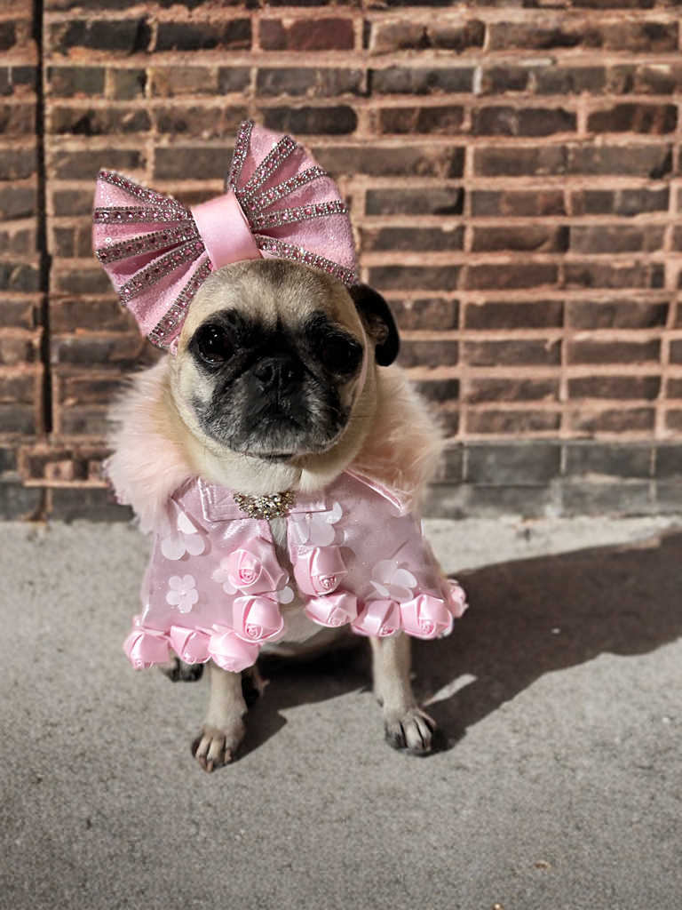 Princess Petal Cape