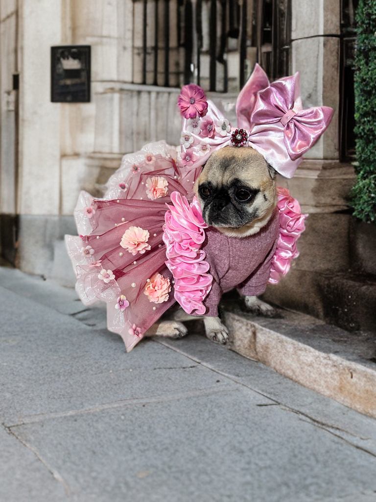 Blush Tutu