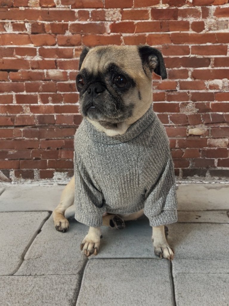 Stone Cozy (Grey)