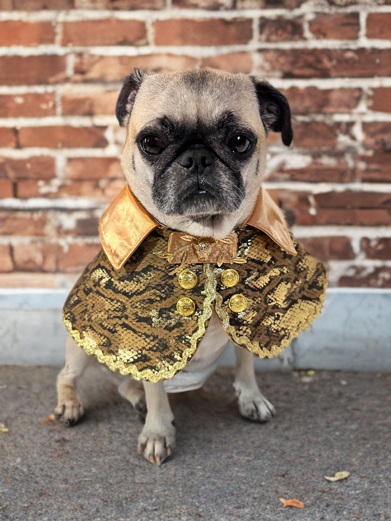 Golden Safari Chic (non-reversible)