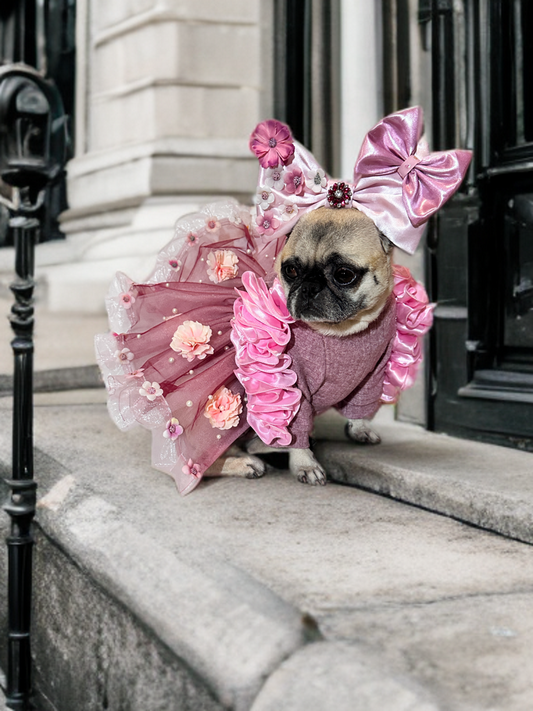 The Blush Ruffle Dream Set