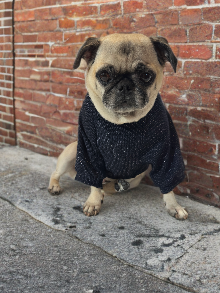 Midnight Cozy (Navy Blue)