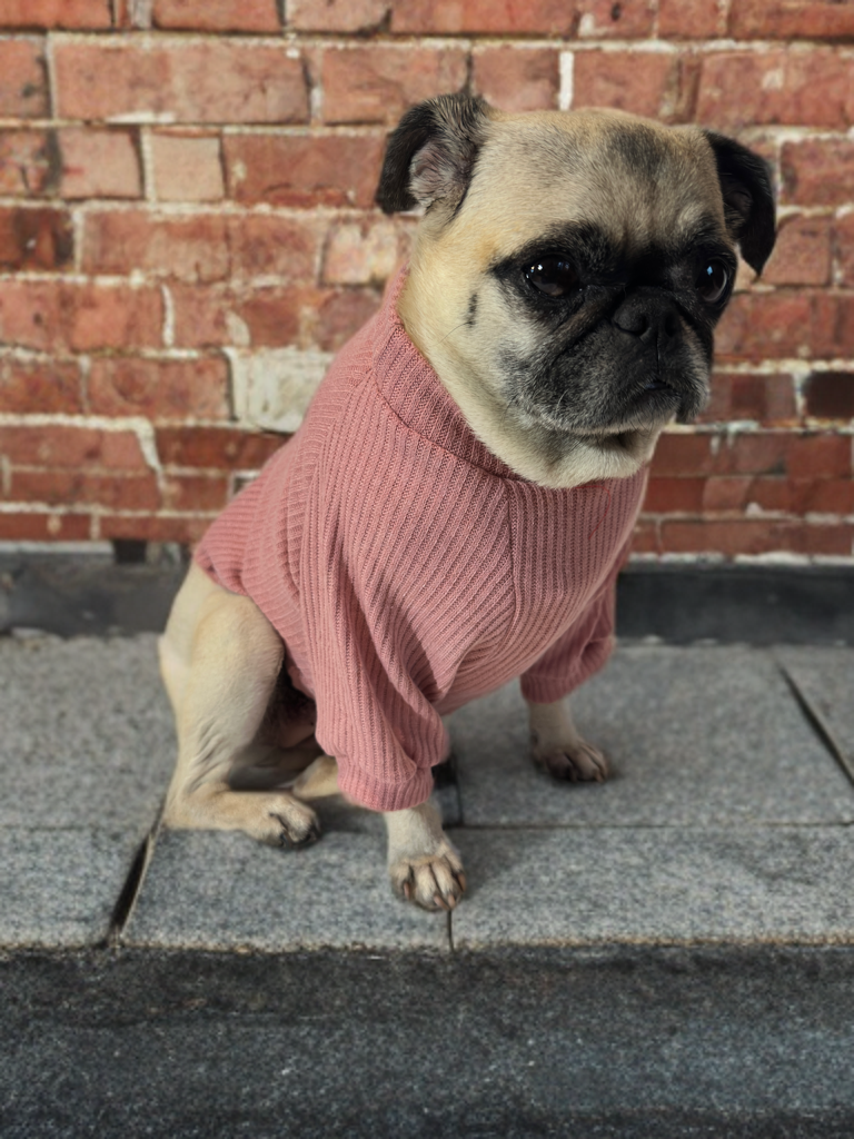 Petal Cozy (Light Mauve)