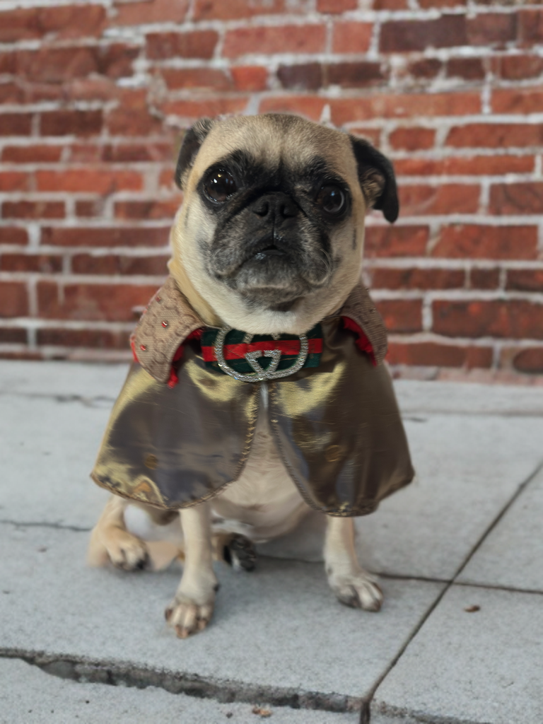 The Luxe Ember Cape(reversible)