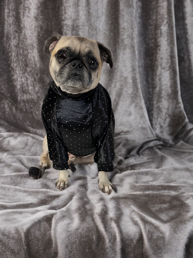 Classic Dot Chic Sweater