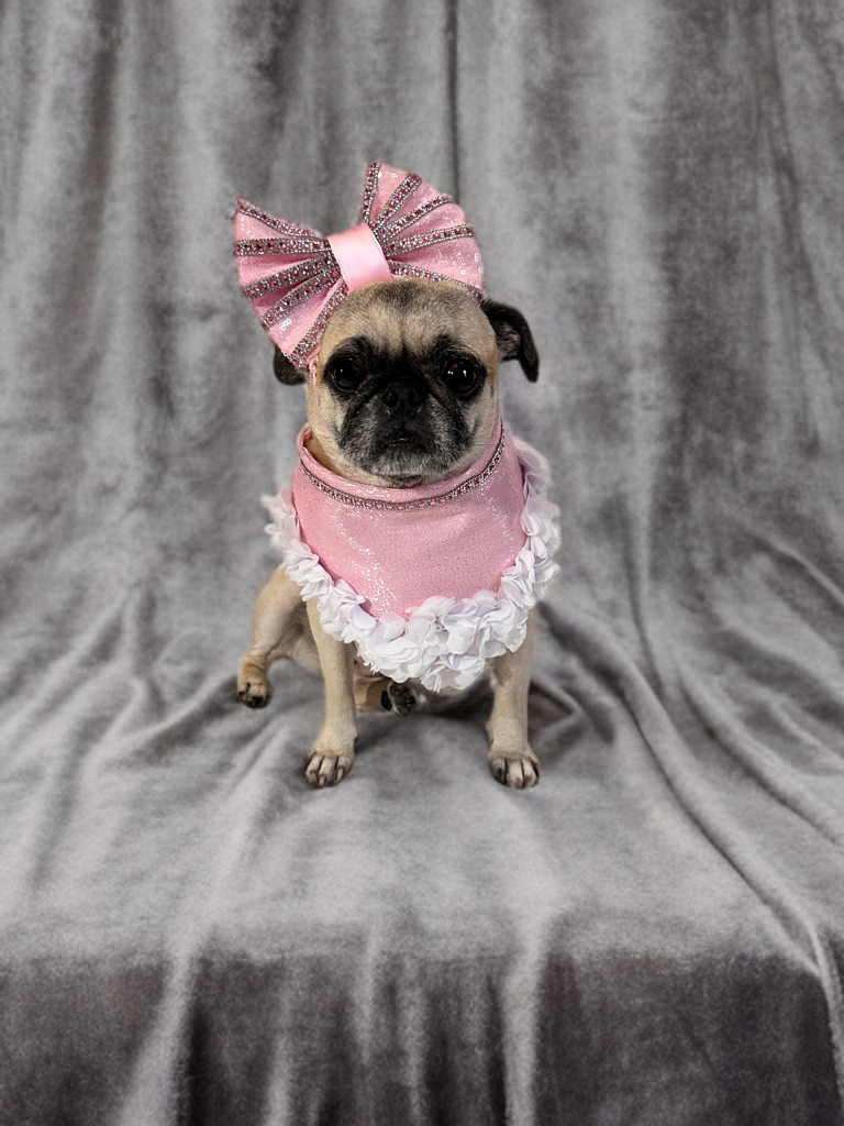 Blossom Babe Bandana