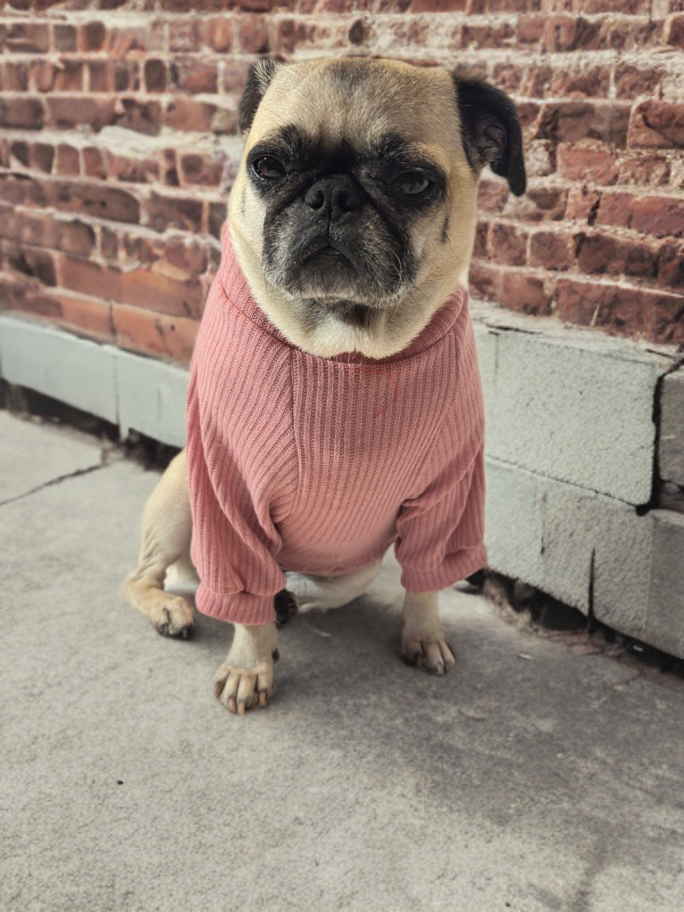 Petal Cozy (Light Mauve)