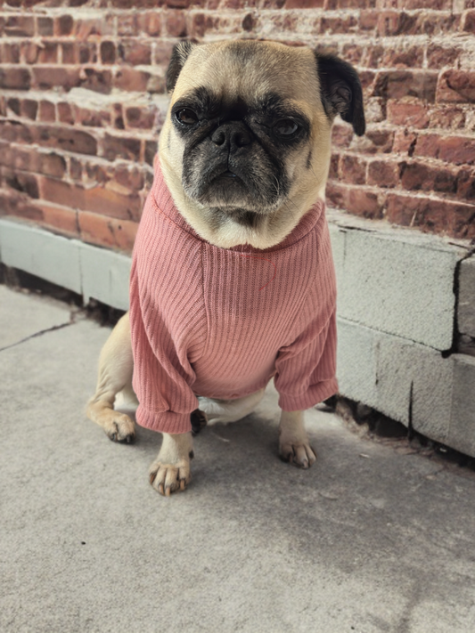 Petal Cozy (Light Mauve)