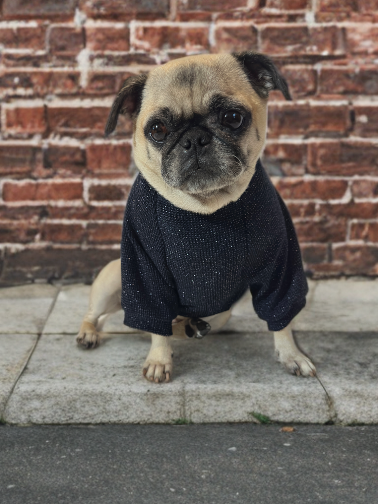 Midnight Cozy (Navy Blue)