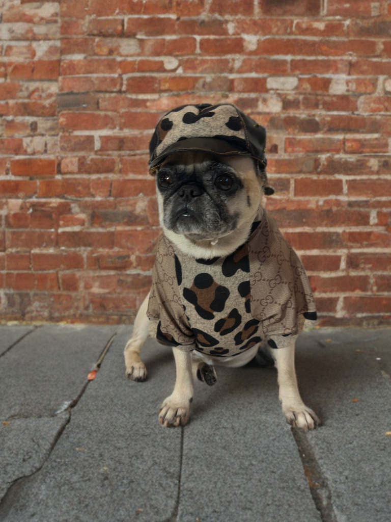 Leopard Luxe Shirt (Boys)