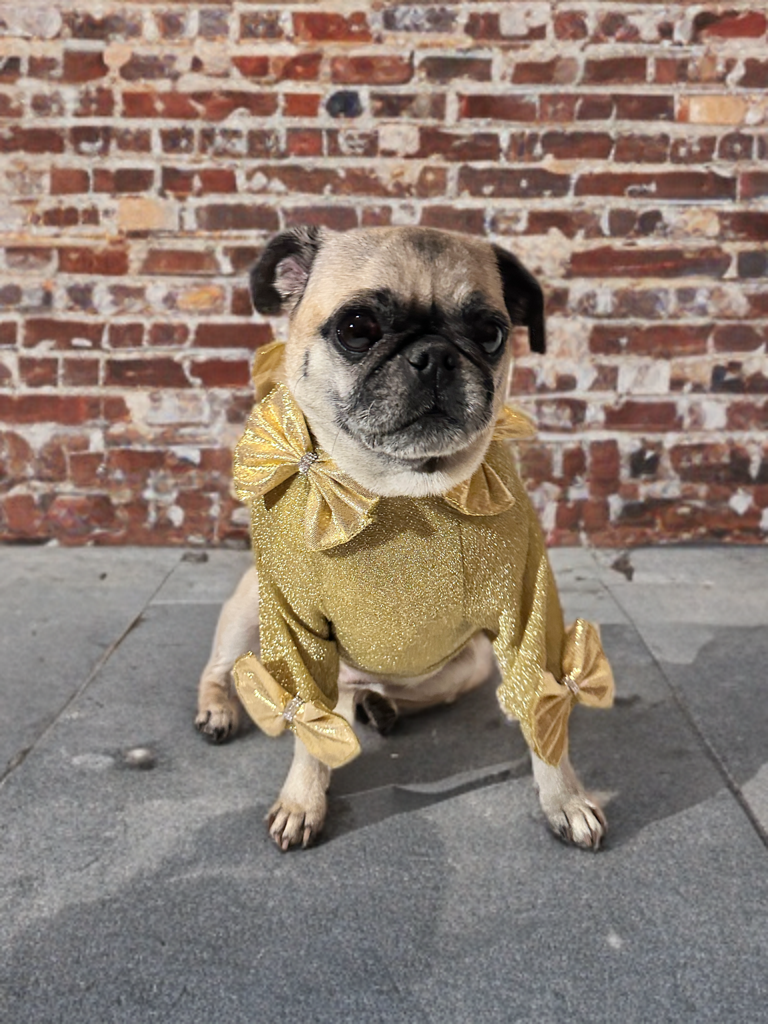 Golden Glow Sweater w/Bows
