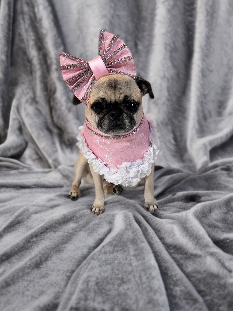 Blossom Babe Bandana