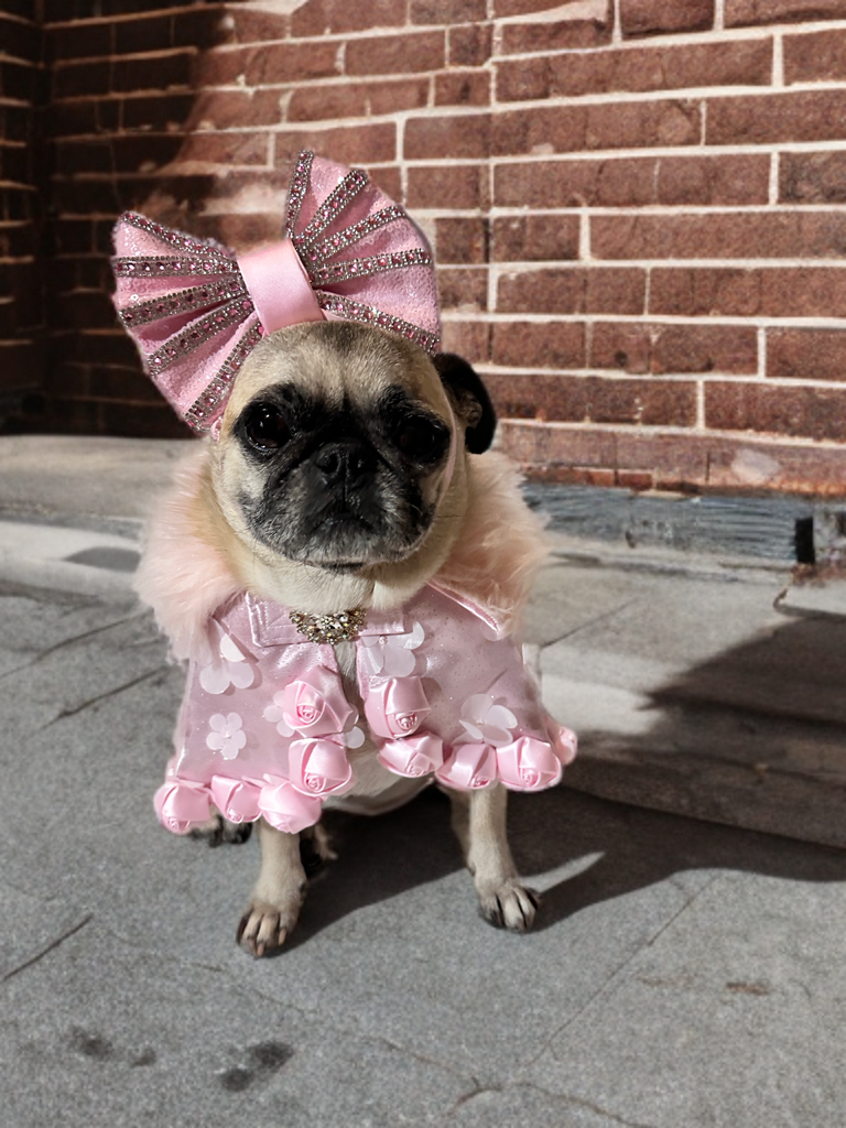 Princess Petal Cape