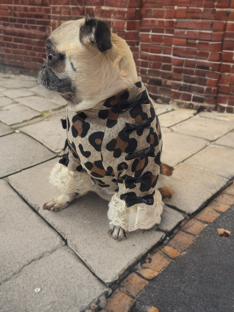 Leopard Luxe Shirt (Girls)