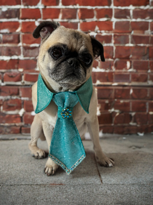 The Polished Pup Tie Set Teal
