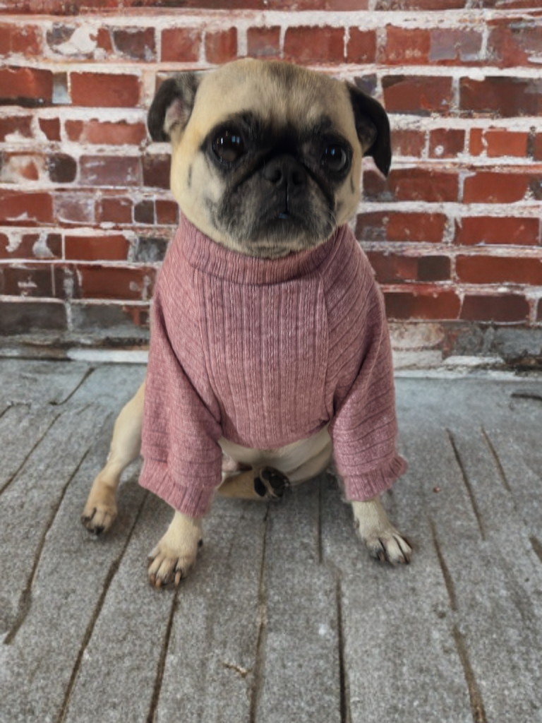 Blush Cozy (Mauve)