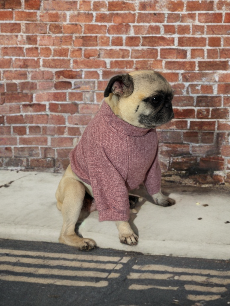 Blush Cozy (Mauve)
