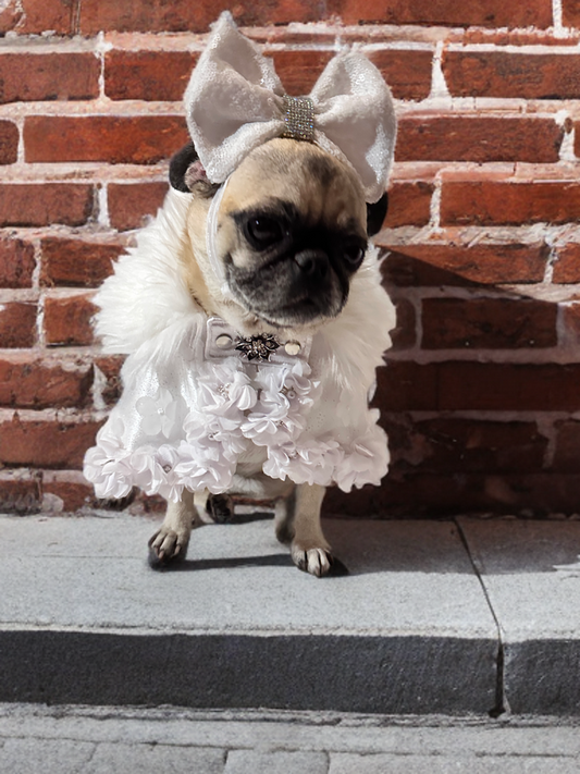 Snow Petal Cape