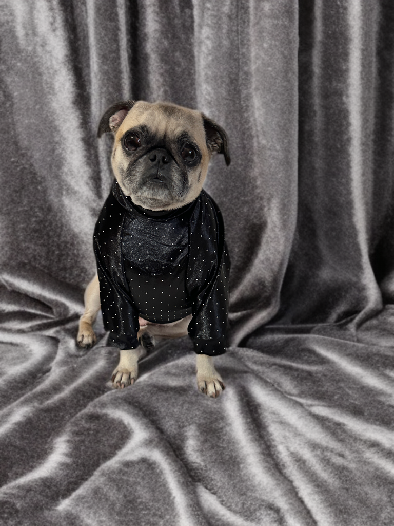 Classic Dot Chic Sweater