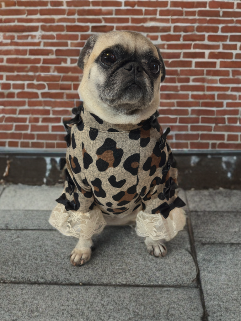 Leopard Luxe Shirt (Girls)