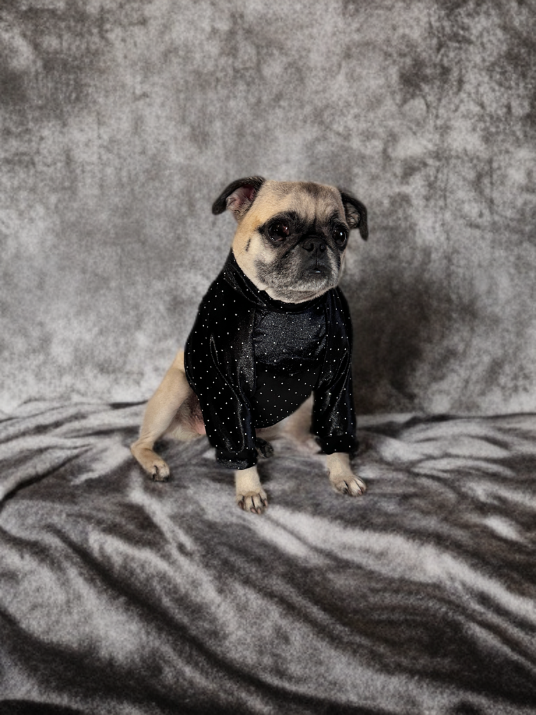 Classic Dot Chic Sweater