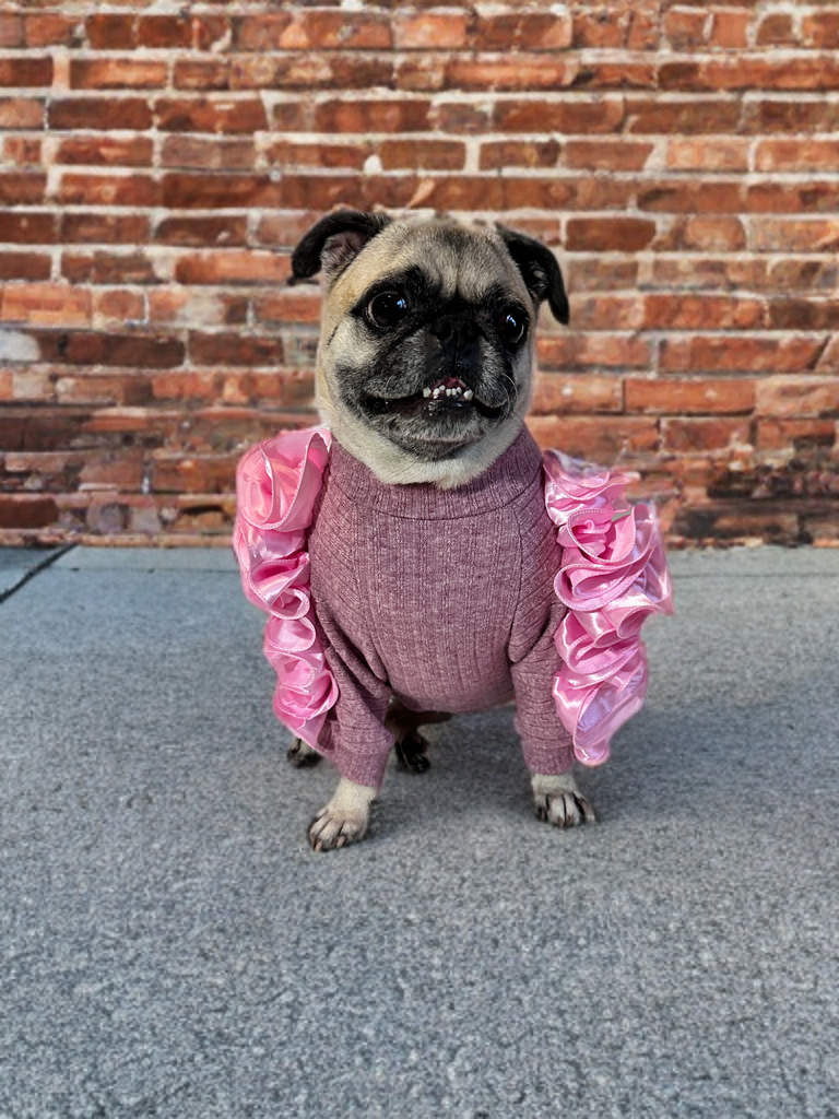 Blush Ruffle Sweater