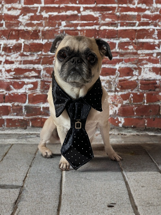 The Polished Pup Tie Set Onyx