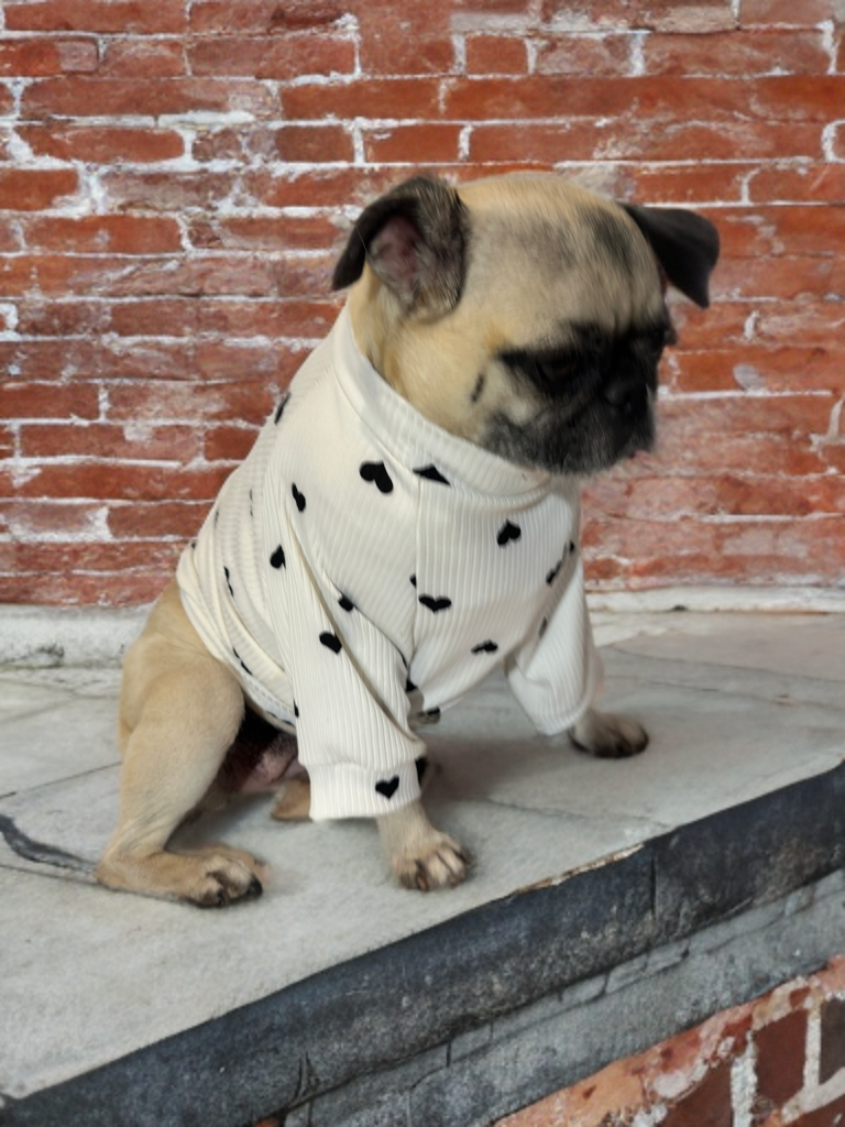 Sweetheart Cozy (White with Black Hearts)