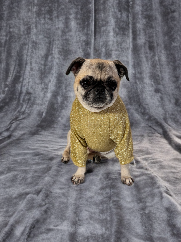 Golden Glow Sweater