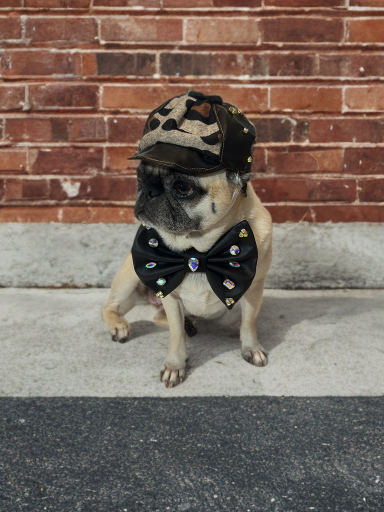 Midnight Safari Hat & Bow Set