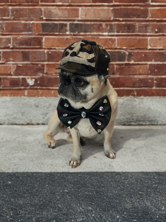 Midnight Safari Hat & Bow Set