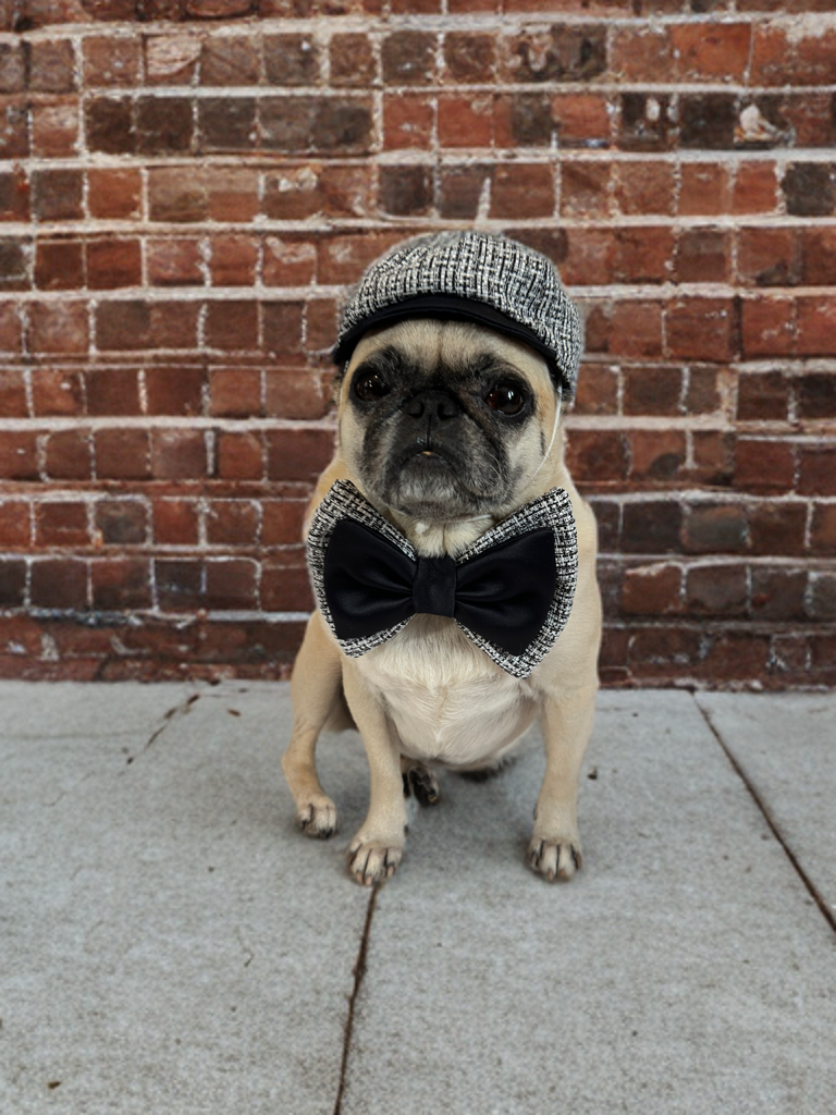 Monochrome Luxe Hat & Bow Set