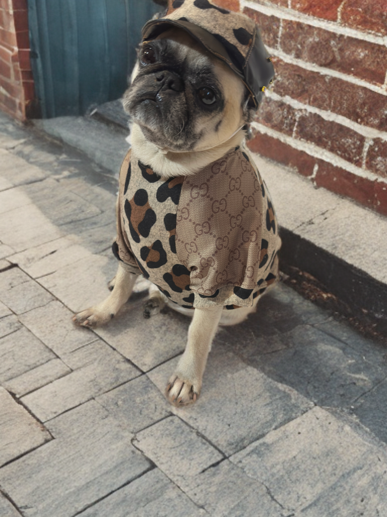 Leopard Luxe Shirt (Boys)