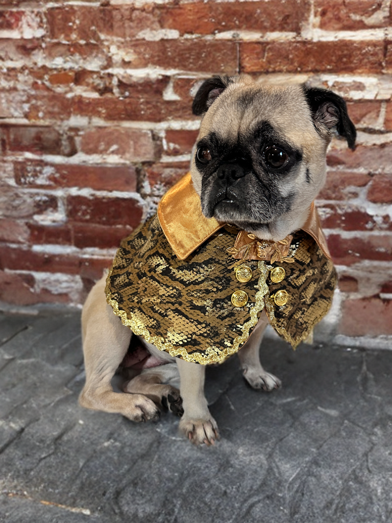 Golden Safari Chic (non-reversible)