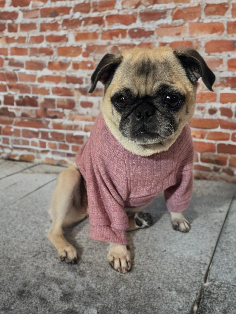 Blush Cozy (Mauve)