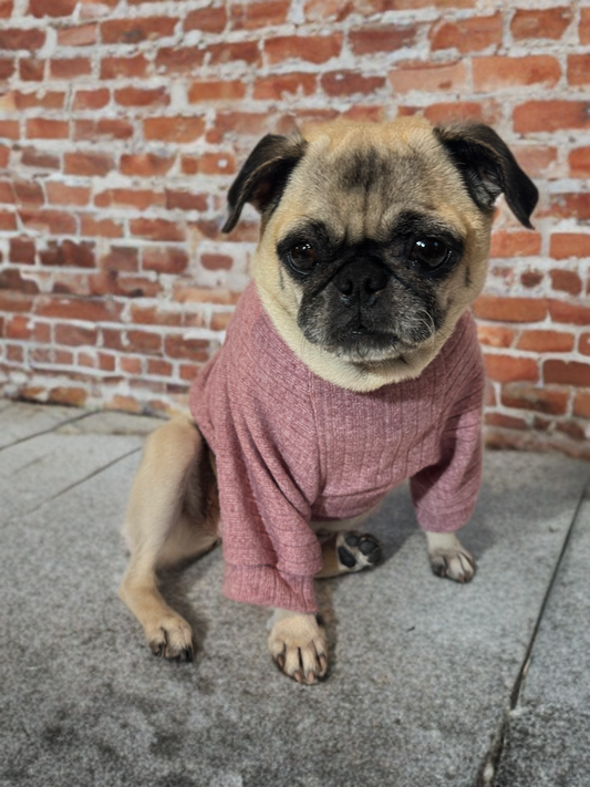Blush Cozy (Mauve)