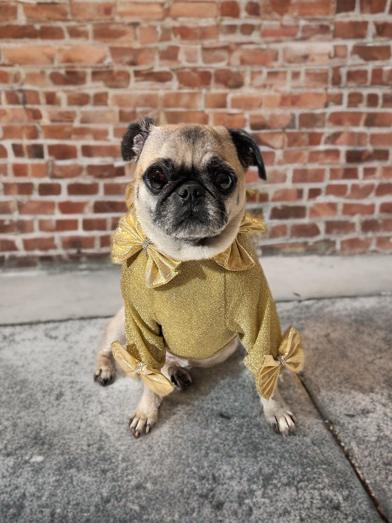 Golden Glow Sweater w/Bows