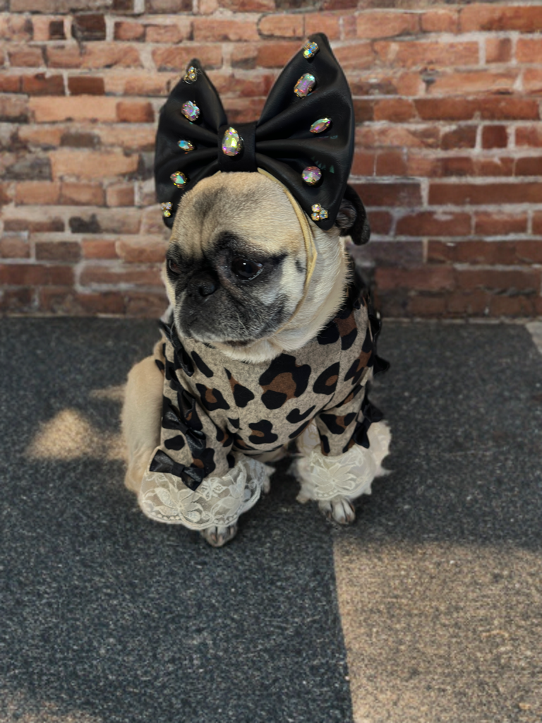 Leopard Luxe Shirt (Girls)