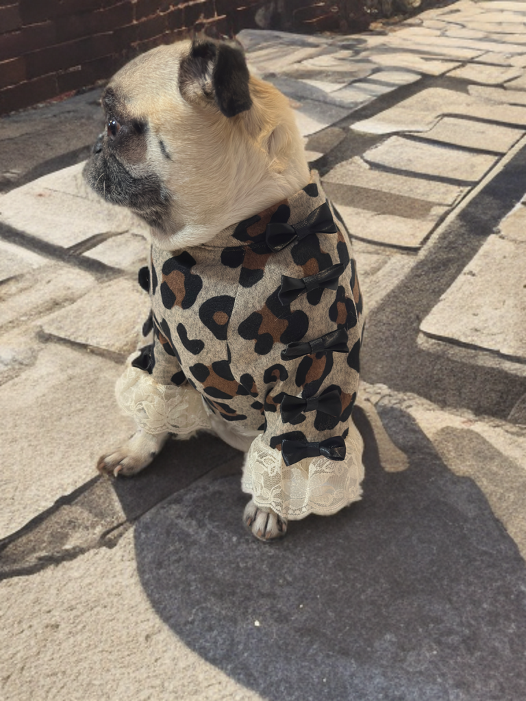 Leopard Luxe Shirt (Girls)