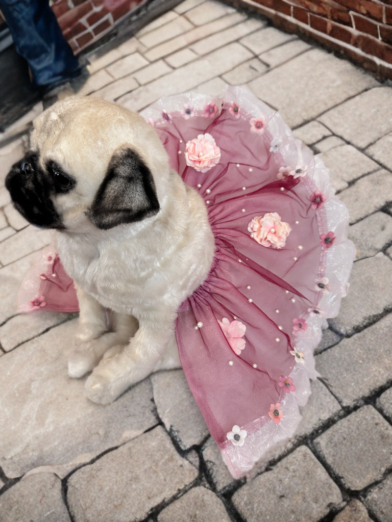 Blush Tutu