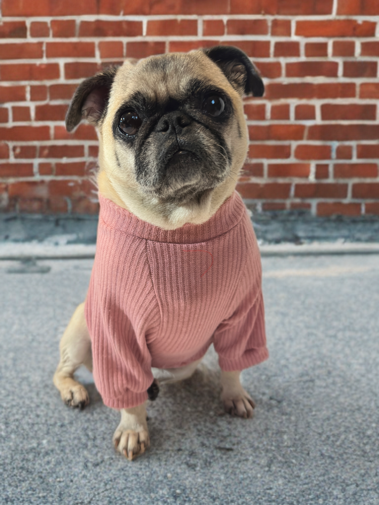 Petal Cozy (Light Mauve)