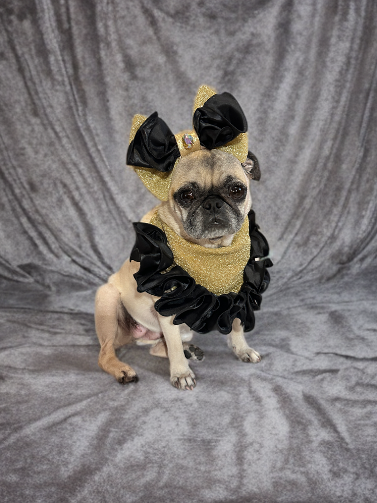 Midnight Royale Ruffle