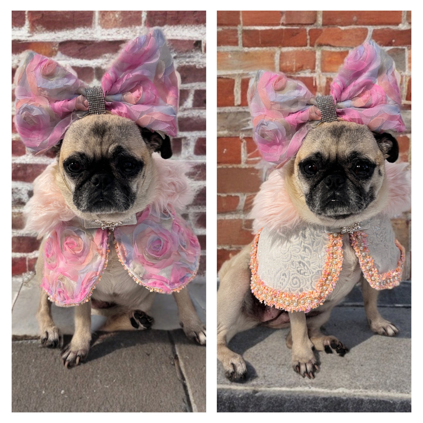 Blossom Cape (reversible)